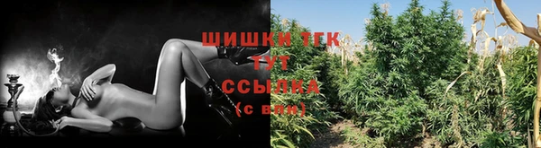 PSILOCYBIN Балахна