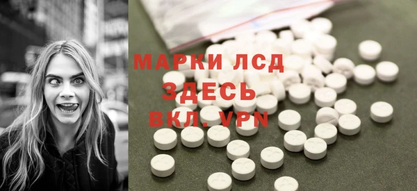 гашик Снежногорск