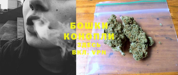 индика Балабаново