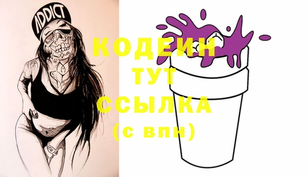 индика Балабаново