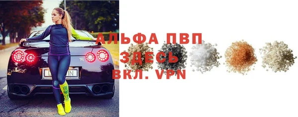 индика Балабаново