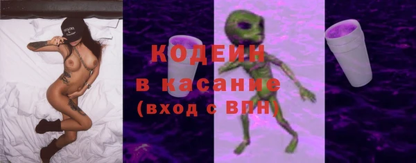 индика Балабаново