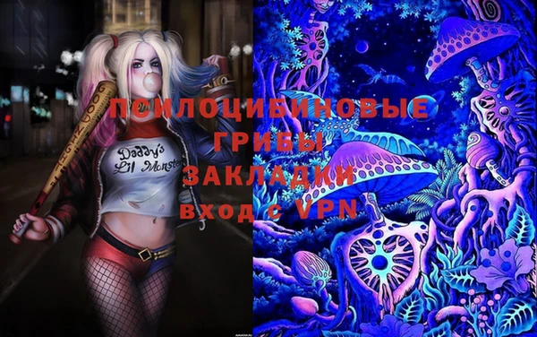 PSILOCYBIN Балахна