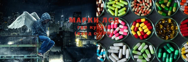 индика Балабаново