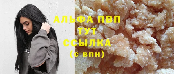 гашик Снежногорск
