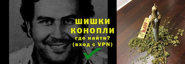 PSILOCYBIN Балахна