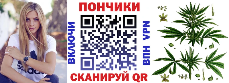 магазин продажи наркотиков  Кстово  Бошки Шишки сатива 